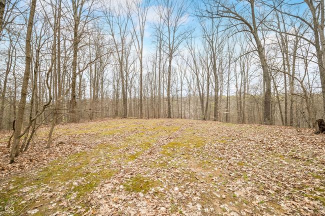 8503 Bean Blossom Rd, House other with 3 bedrooms, 2 bathrooms and null parking in Trafalgar IN | Image 84