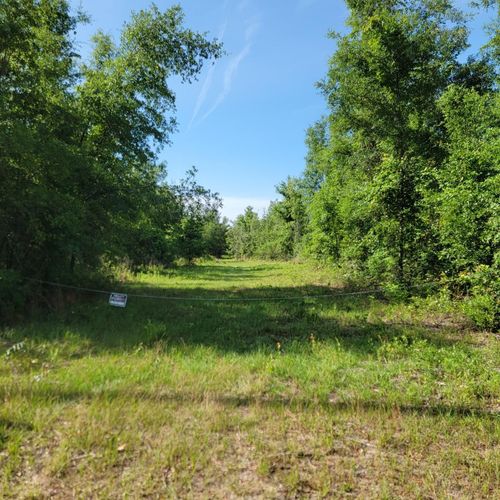 Vacant 20 AC Se Parliament Trail, LEE, FL, 32059 | Card Image