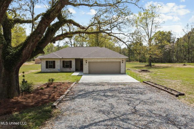 Oak tree in the front of the house | Image 19