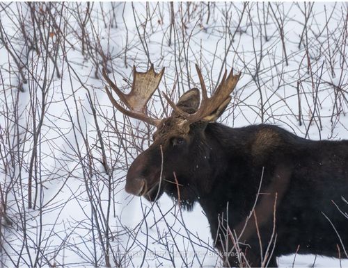 0 64 Highway, French River, ON, P0M2N0 | Card Image