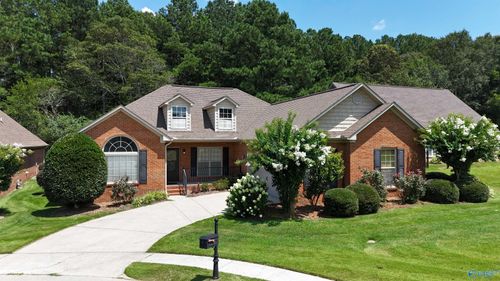 20 Sawgrass Ln, Albertville, AL, 35951-0019 | Card Image