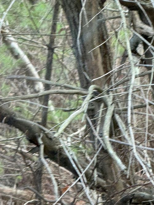 51 Holly Pond Rd, Marion, MA, 02738-2111 | Card Image