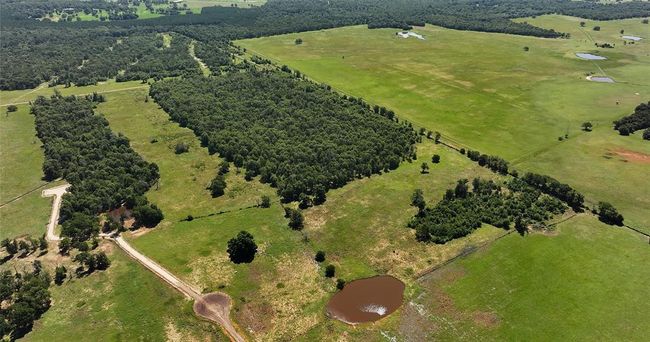 Mostly wooded with some pasture near the Cul de Sac | Image 9