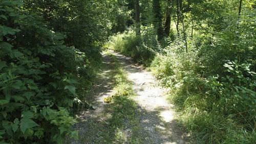 TBD Pocahontas Trl, Glade Spring, VA, 24340 | Card Image