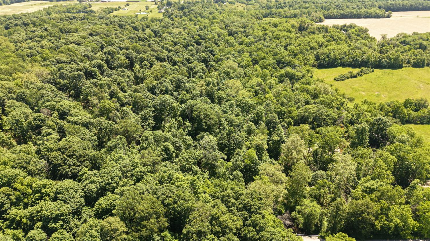 Land in Versailles 5