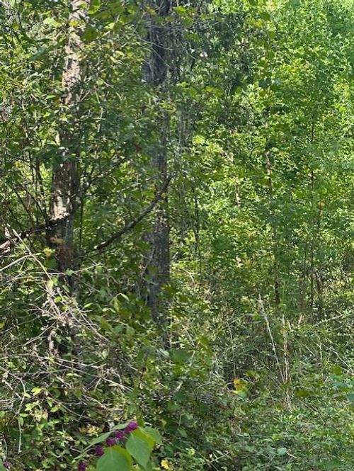 26976 Callie Dr, Hempstead, TX, 77445 | Card Image