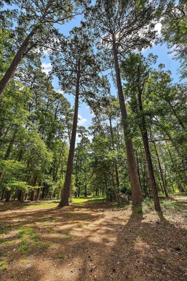 460 Timberlane Loop, House other with 2 bedrooms, 1 bathrooms and 3 parking in Hemphill TX | Image 12