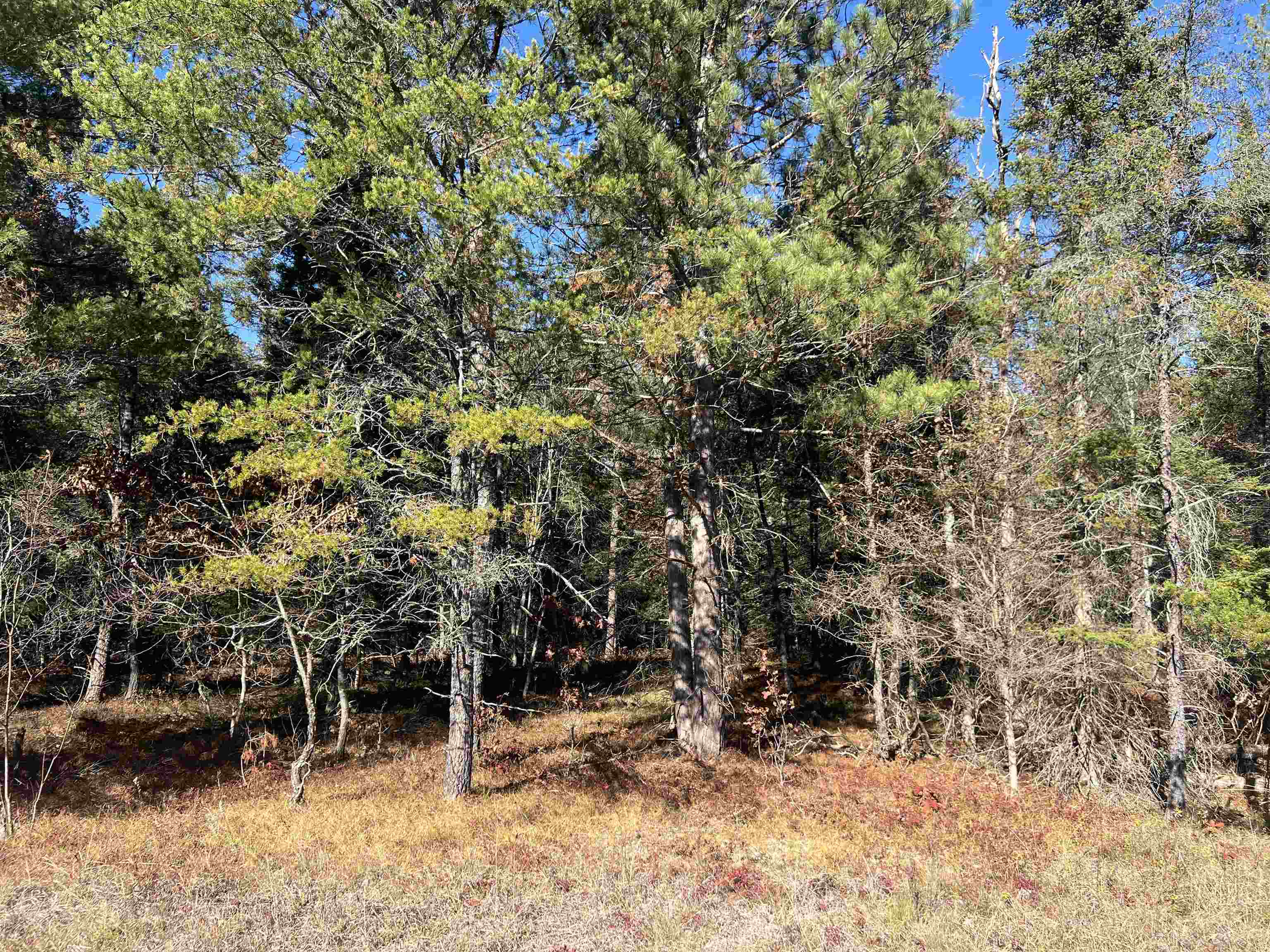 Land in Lovells Township 4