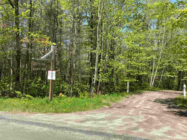 lot 5 Nh Route 4a, Home with 0 bedrooms, 0 bathrooms and null parking in Grafton NH | Image 13