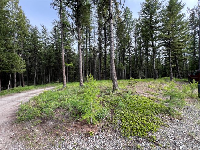 park like setting on ridge next to the well and home site | Image 116