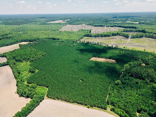 0000 Varnadoe Rd, Islandton, SC, 29929 | Card Image