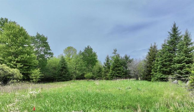 LOT 3 1st S Avenue, Home with 0 bedrooms, 0 bathrooms and null parking in Park Falls WI | Image 6