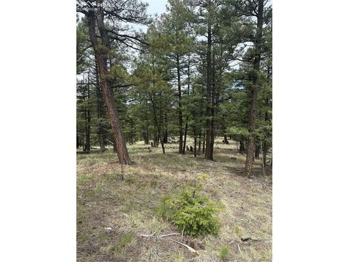 1120 N Mountain Estates Rd, Florissant, CO, 80816-8947 | Card Image