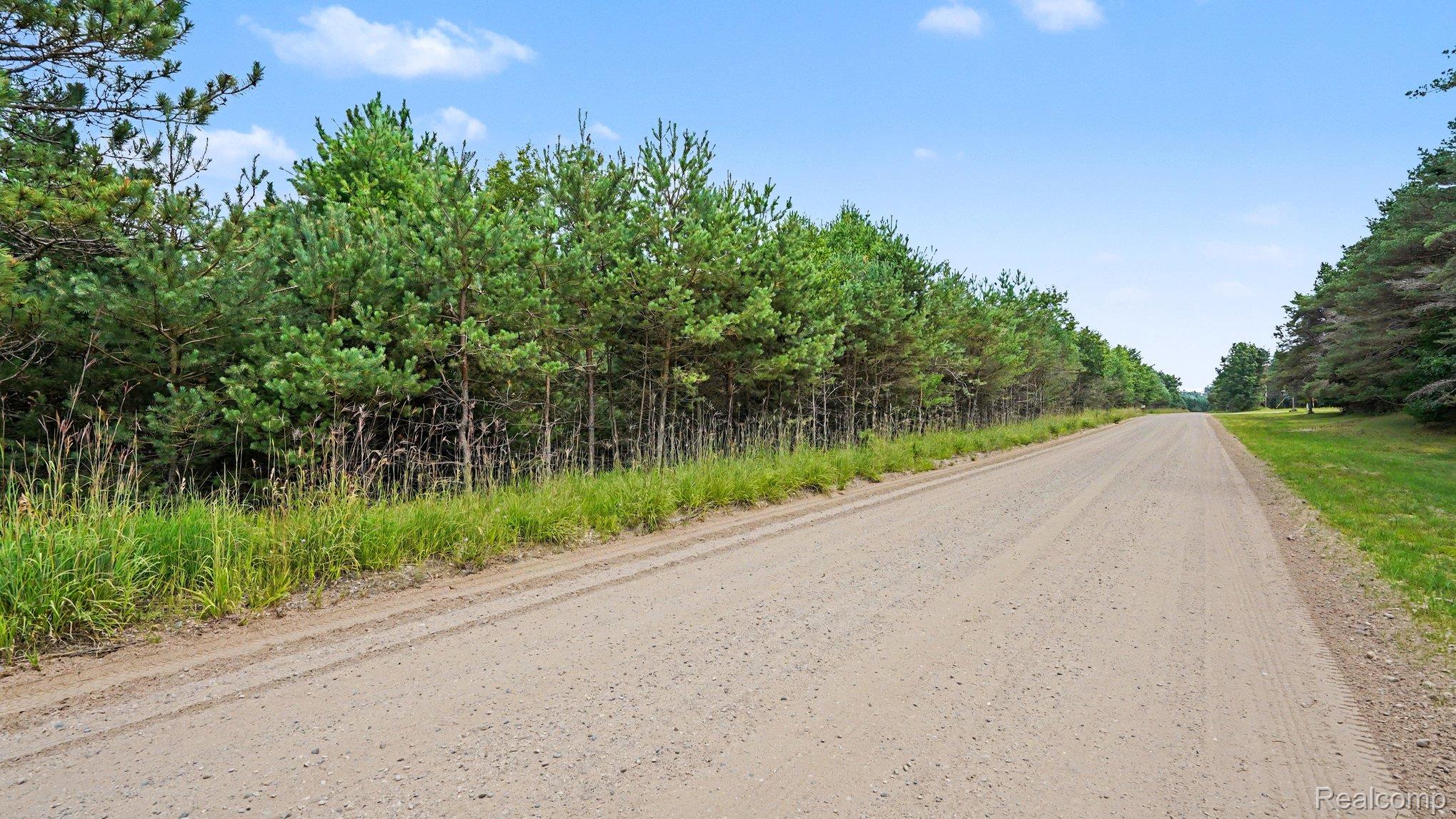 Land in Beaver Creek Township 5