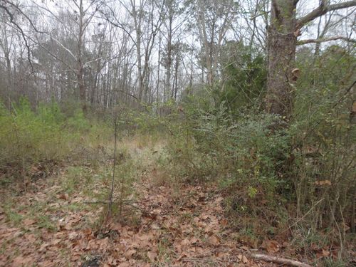 313 Self Ave Ne, Hanceville, AL, 35077-5353 | Card Image