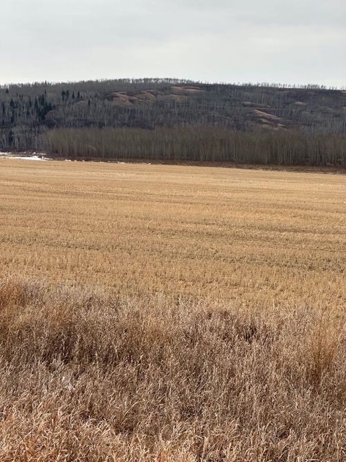 3-1-2121458 242a Range, Rural Birch Hills County, AB, T0H3R0 | Card Image