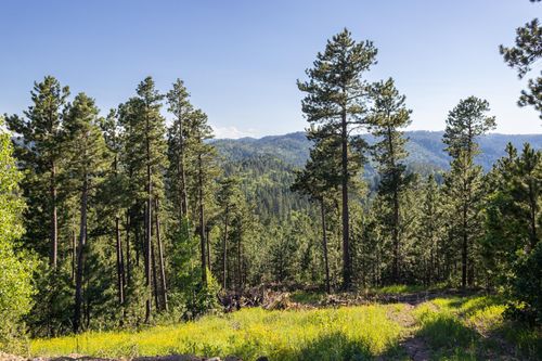 Lot 118 Paradise Gulch Ln, Lead, SD, 57754 | Card Image