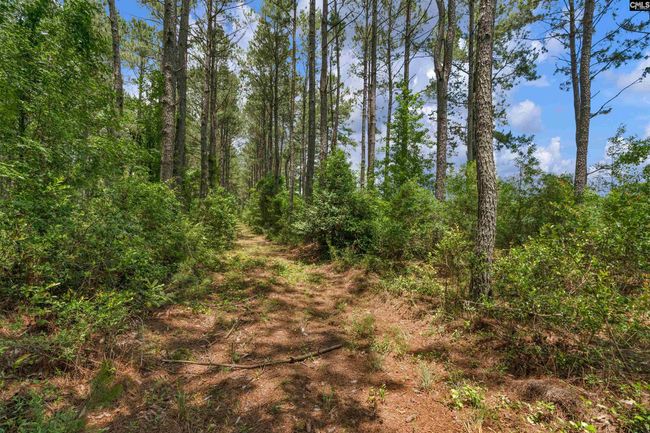 0000 N Brewington Rd, Home with 0 bedrooms, 0 bathrooms and null parking in Manning SC | Image 50
