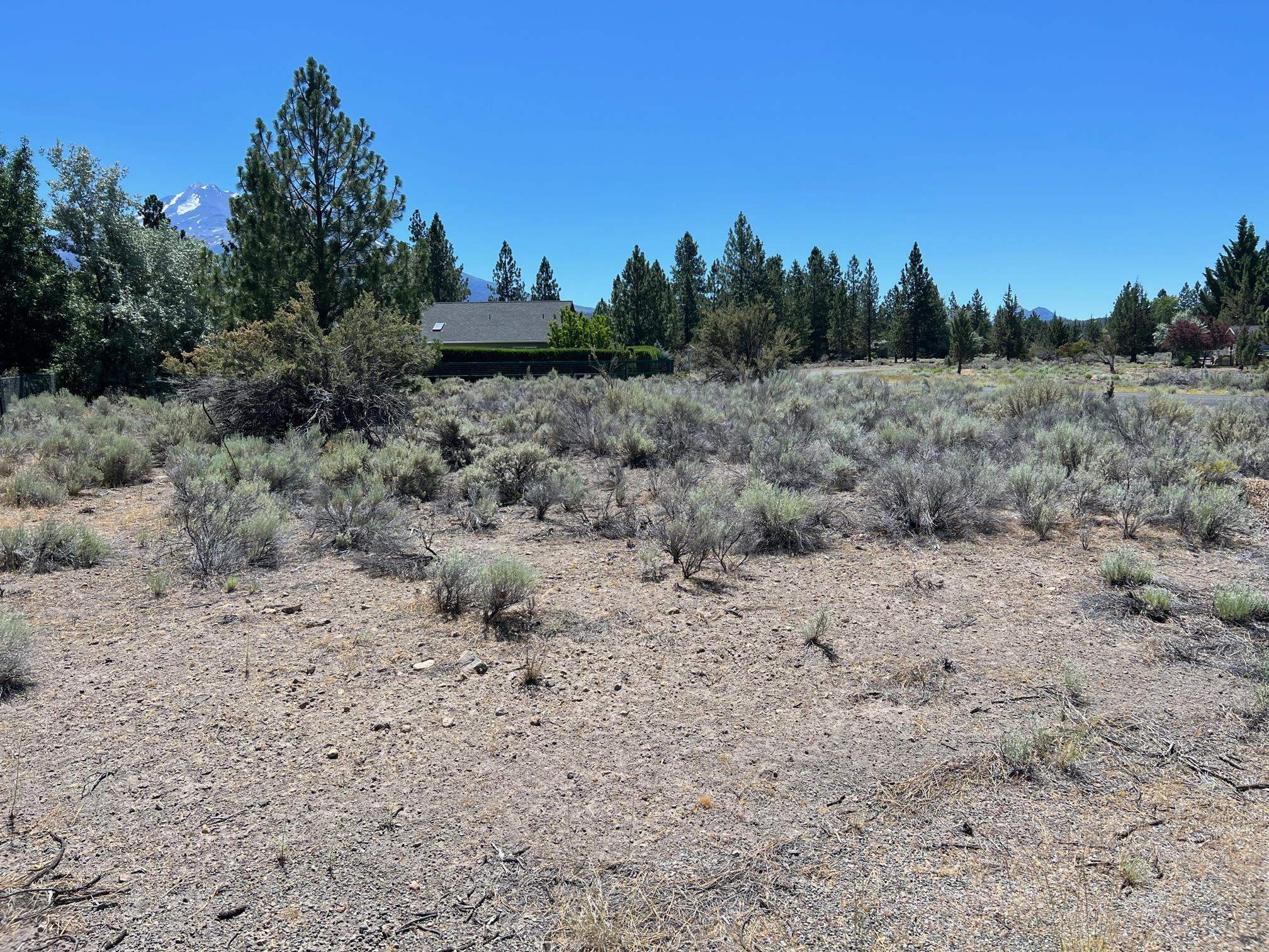 Land in Weed 3