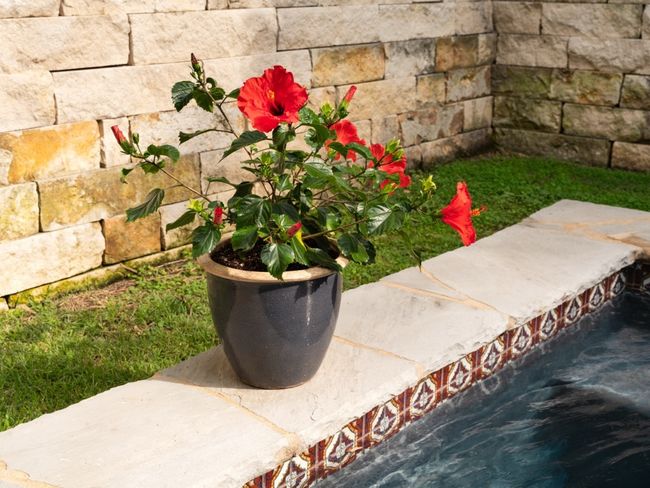 1005 E Riverside Dr, House other with 3 bedrooms, 3 bathrooms and 3 parking in Austin TX | Image 28