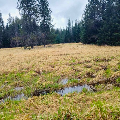 1101 Larch Ln, Cusick, WA, 99119-9628 | Card Image