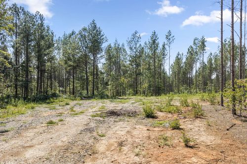 0 Algerene Rd, Drakes Branch, VA, 23937 | Card Image
