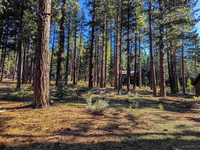 11561 Bottcher Loop, Home with 0 bedrooms, 0 bathrooms and null parking in Truckee CA | Image 10