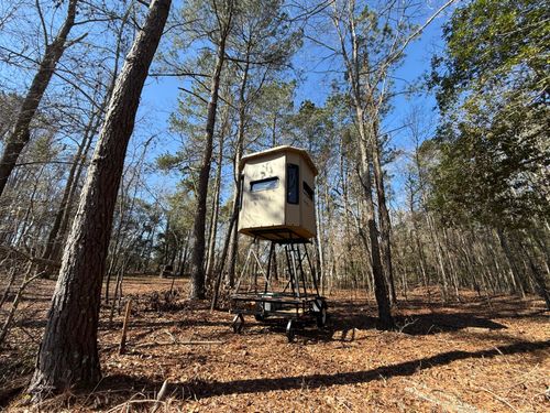 0000 Healing Springs Rd, Blackville, SC, 29817 | Card Image