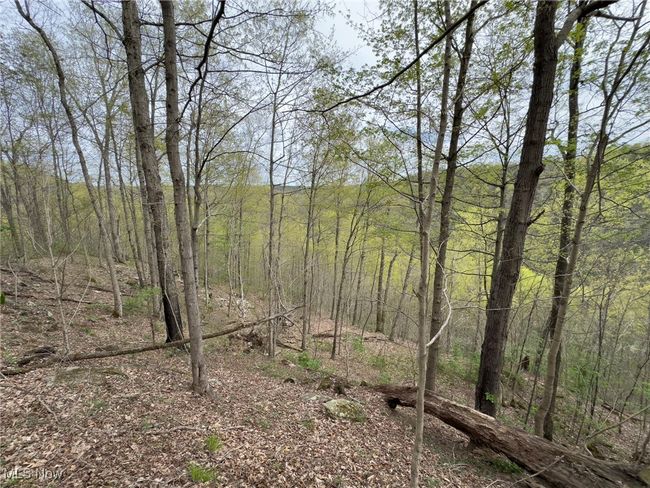 View of local wilderness featuring a forest view | Image 36