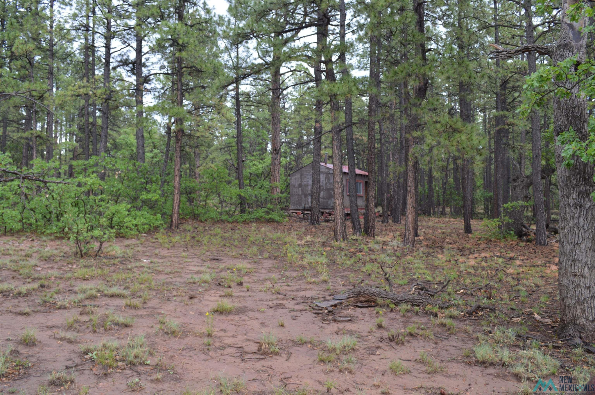 Land in Mcgaffey 2