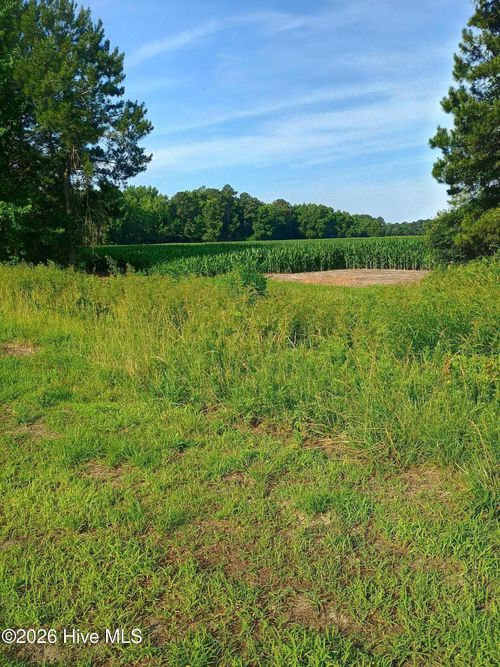 289 Grists Road, Chadbourn, NC, 28431 | Card Image