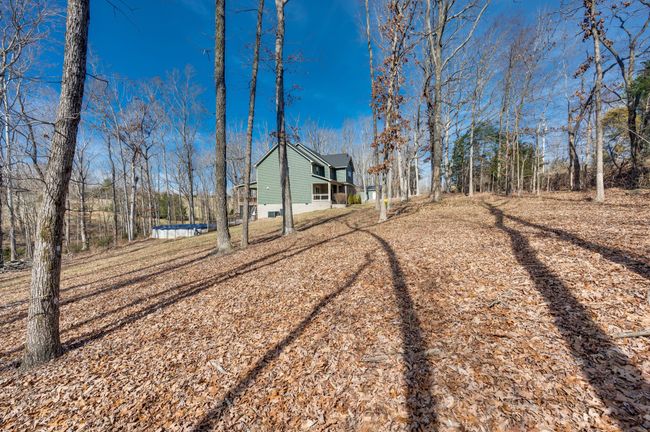 Large private lot! | Image 9