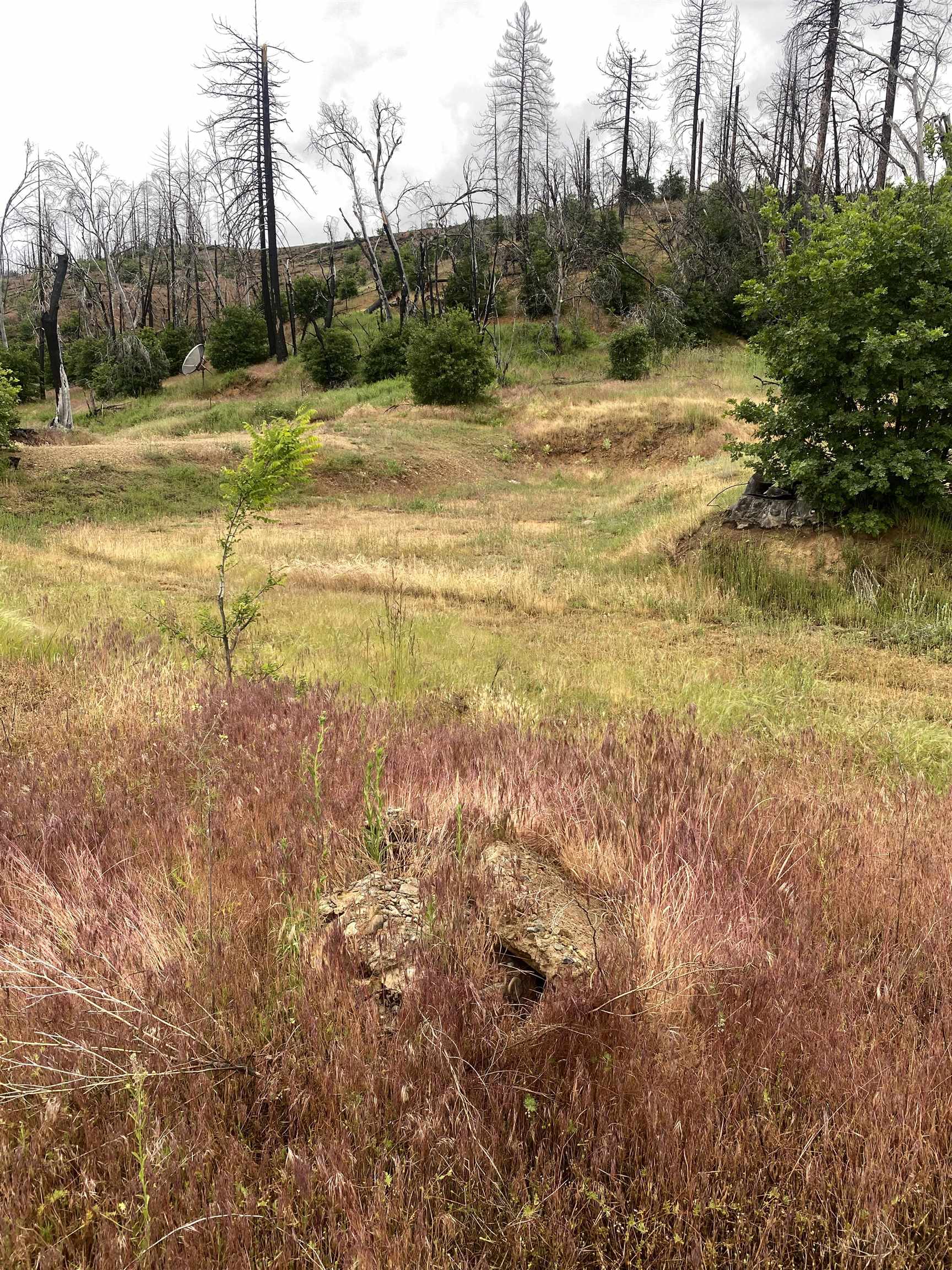 Land in Greenville 3