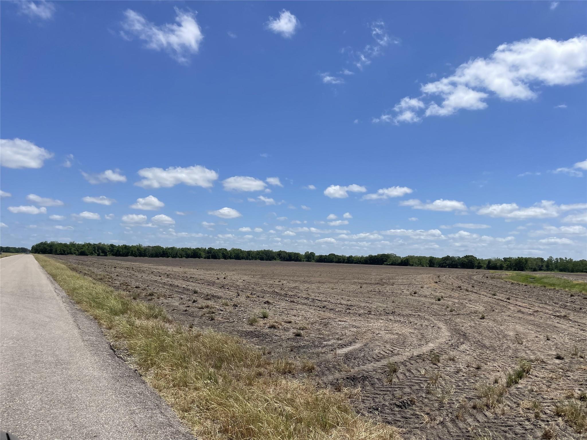 Farm in Damon 4