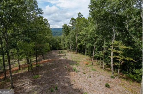315-LOT 315 Talking Rock Creek Ln, Talking Rock, GA, 30175 | Card Image
