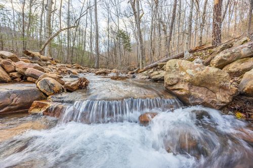 0 Bench Rd, Pikeville, TN, 37367 | Card Image