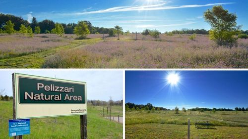 Parcel B Peninsula Drive, Peninsula Township, MI, 49686 | Card Image