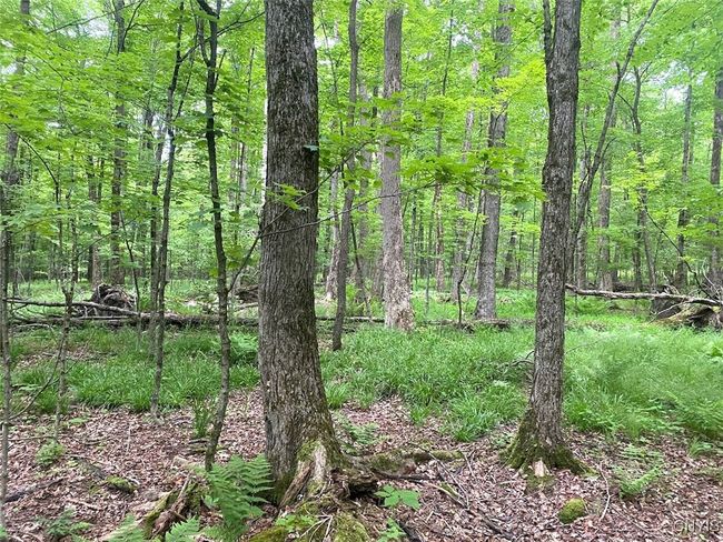 3656 Putt Brook Rd, House other with 1 bedrooms, 1 bathrooms and null parking in Scio NY | Image 29