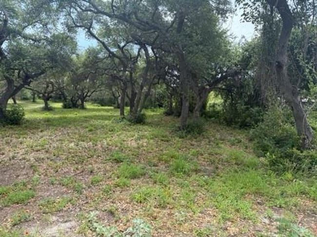 1910 Pace Ave, Home with 0 bedrooms, 0 bathrooms and null parking in Ingleside TX | Image 6