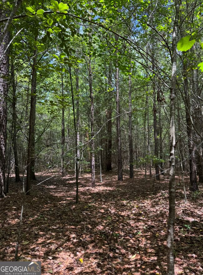 0 Tobias Rd, Home with 0 bedrooms, 0 bathrooms and null parking in Sardis GA | Image 9