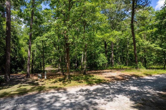 0 Riverview Dr, Home with 0 bedrooms, 0 bathrooms and null parking in Burgaw NC | Image 23
