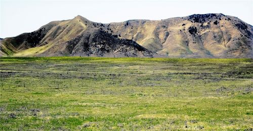 1355 Glassrock Rd, Santa Margarita, CA, 93453 | Card Image