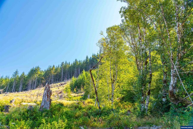 0 Bald Mountain Rd, Home with 0 bedrooms, 0 bathrooms and null parking in Beaver OR | Image 23