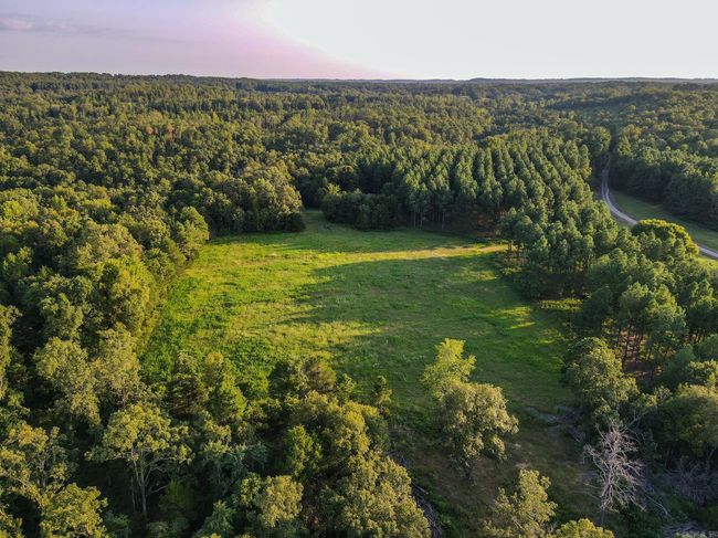 192 Sweet Gum Holw, Home with 0 bedrooms, 0 bathrooms and null parking in Rose Bud AR | Image 14