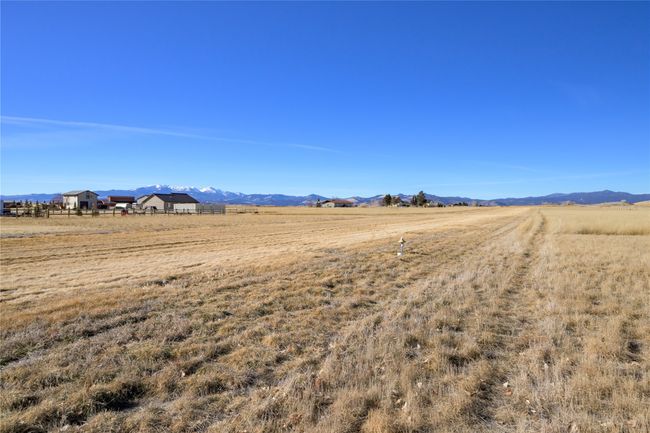 turf runway | Image 13