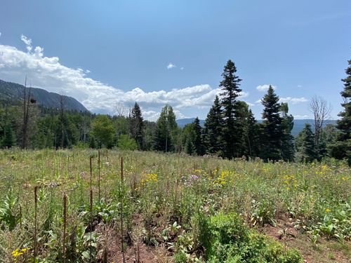 0 Aspen Rd, Chama, NM, 87520 | Card Image