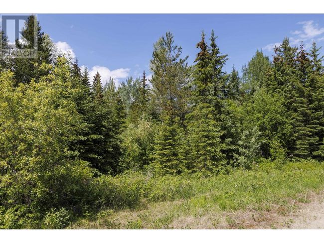3180 Garrett Rd, Home with 0 bedrooms, 0 bathrooms and null parking in Mcbride BC | Image 4
