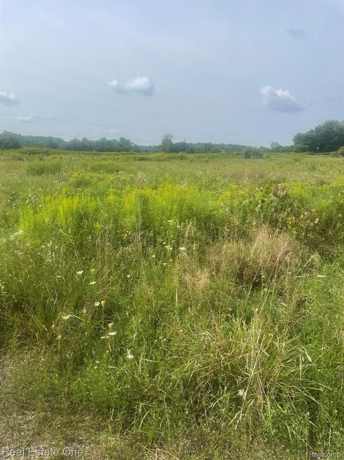Parcel 2 Deerfield Meadows, Almont Township, MI, 48003 | Card Image