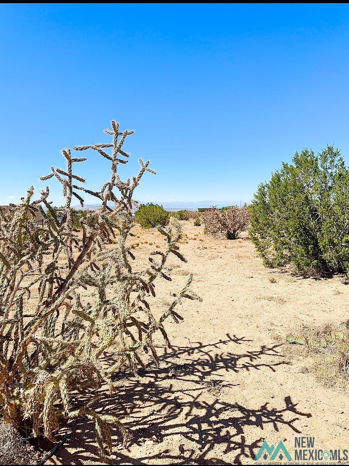 Land in Placitas 5