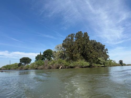 0 Halls Island, Walnut Grove, CA, 95690 | Card Image